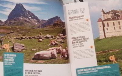 Guides touristiques 2021