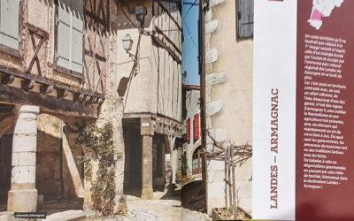 Dans « Nos coup de cœur » du Routard