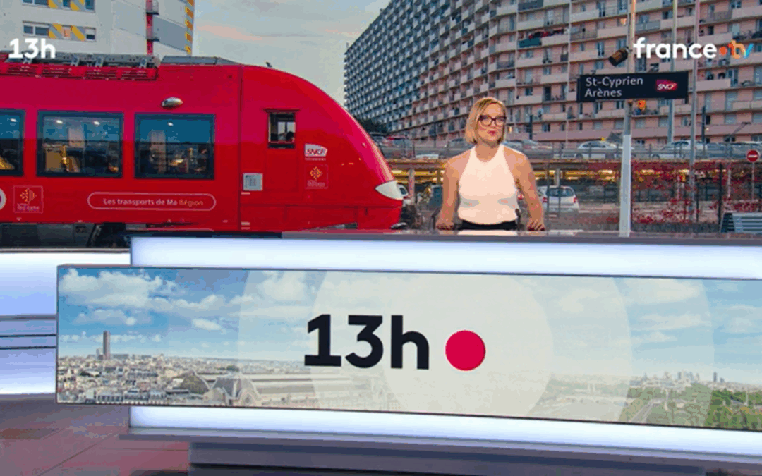 Parution dans le JT de France 2